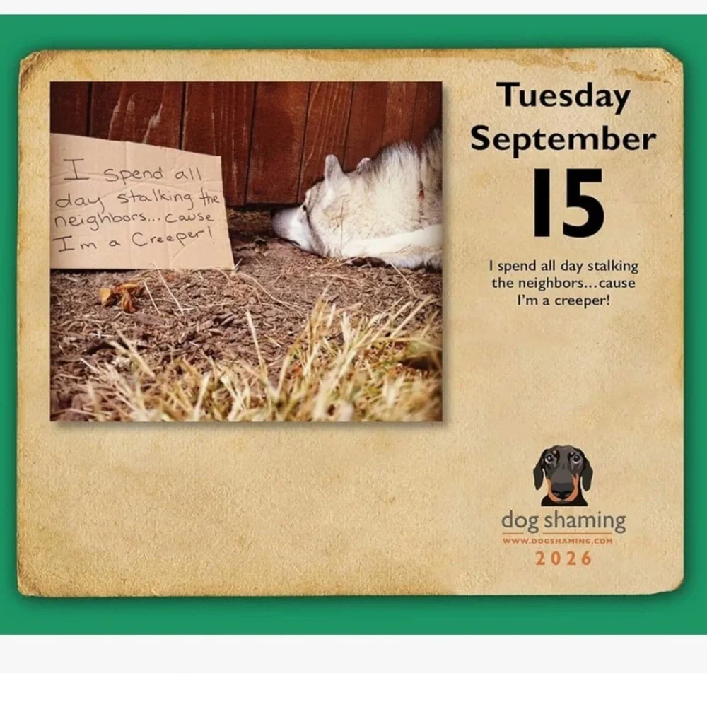 Dog Shaming 2026 Day-to-Day Calendar new!